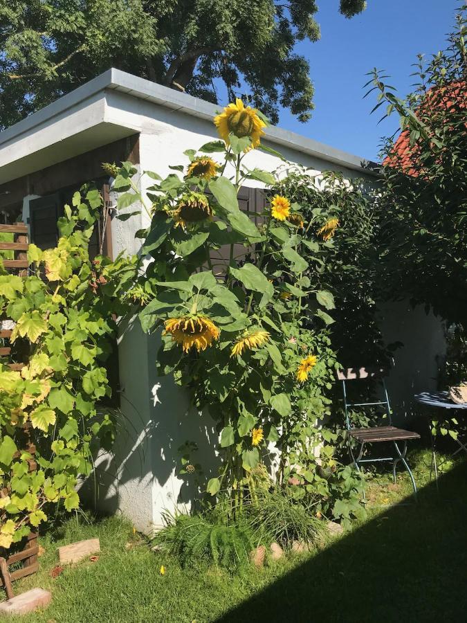 Haus Vicus Lägenhet Greifswald Exteriör bild
