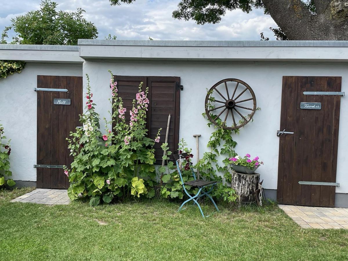 Haus Vicus Lägenhet Greifswald Exteriör bild