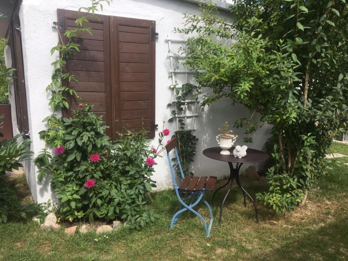 Haus Vicus Lägenhet Greifswald Exteriör bild